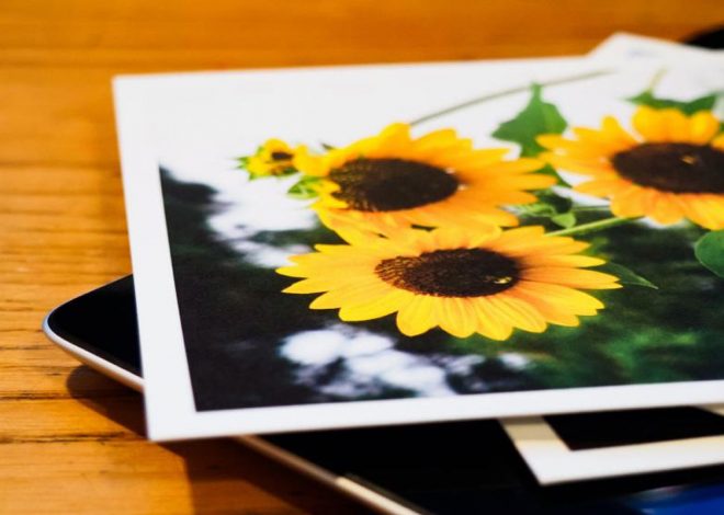 All Should Know About Network